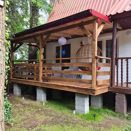 Little Angel Letniskowy Warchaly