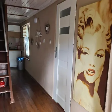 Little Angel Letniskowy *